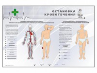 Электрифицированный стенд "Остановка кровотечения" - fgospostavki.ru - Шумерля
