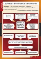 Комплект таблиц. ОБЖ. Здоровый образ жизни. - fgospostavki.ru - Шумерля