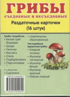 Раздаточные карточки "Грибы съедобные и не съедобные" - fgospostavki.ru - Шумерля