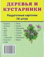 Раздаточные карточки "Деревья и кустарники" - fgospostavki.ru - Шумерля
