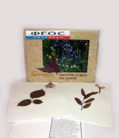 Гербарий "Дикорастущие растения" (28 видов) - fgospostavki.ru - Шумерля