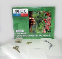 Гербарий "Основные группы растений" (52 листа) - fgospostavki.ru - Шумерля
