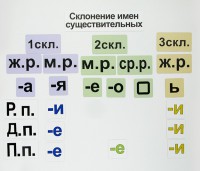 Набор магнитных карточек "Склонение имен существительных" - fgospostavki.ru - Шумерля