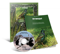 Электронное наглядное пособие «Птицы» - fgospostavki.ru - Шумерля