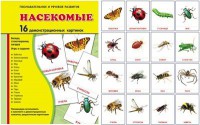 Демонстрационные карточки "Насекомые" - fgospostavki.ru - Шумерля