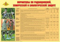 Плакат "Нормативы по радиационной, химической и биологической защите" - fgospostavki.ru - Шумерля
