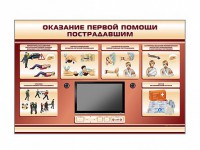 Многофункциональный интерактивный стенд-тренажер "Оказание первой помощи пострадавшим" для учащихся общеобразовательных учреждений - fgospostavki.ru - Шумерля