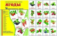 Демонстрационные карточки "Ягоды" - fgospostavki.ru - Шумерля