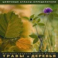 Растения средней полосы России "Травы и Деревья". (Цифровые атласы-определители) - fgospostavki.ru - Шумерля
