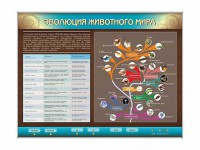 Интерактивный электрифицированный стенд "Эволюция животного мира" - fgospostavki.ru - Шумерля
