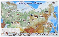 Магнитные карточки "Животные" - fgospostavki.ru - Шумерля