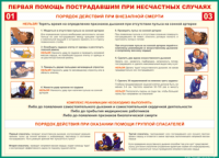 Таблица "Порядок действий при внезапной смерти" (100х140 сантиметров, винил) - fgospostavki.ru - Шумерля