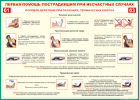 Таблица "Порядок действий при ранениях и термических ожогах" (100х140 сантиметров, винил) - fgospostavki.ru - Шумерля