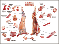 Таблица "Правила разделки мясных туш. Баранина и ягнятина" (100х140 сантиметров, винил) - fgospostavki.ru - Шумерля