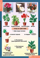 Комплект таблиц. Окружающий мир 1 класс. - fgospostavki.ru - Шумерля