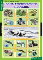 Комплект таблиц. Окружающий мир 4 класс. - fgospostavki.ru - Шумерля