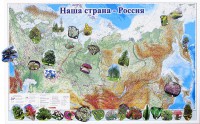 Магнитные карточки "Растения" - fgospostavki.ru - Шумерля