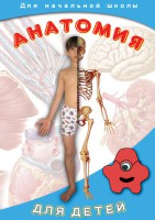 DVD "Анатомия для детей" - fgospostavki.ru - Шумерля