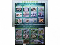 Комбинированный модульный комплекс "Лого-биолог" - fgospostavki.ru - Шумерля