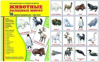 Демонстрационные карточки "Животные холодных широт" - fgospostavki.ru - Шумерля