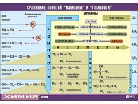 Таблица демонстрационная "Сравнение понятий изомер и гомолог" (винил 70x100) - fgospostavki.ru - Шумерля