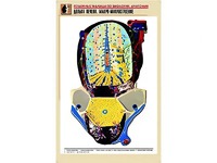 Рельефная таблица "Долька печени. Макро-микростроение" (формат А1, матовое ламинирование) - fgospostavki.ru - Шумерля