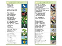 Комплект карточек (10) "Обучающий калейдоскоп. Природа" - fgospostavki.ru - Шумерля