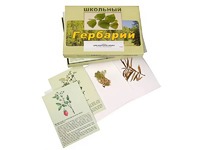 Гербарий "Для начальной школы" (30 видов, с иллюстрациями) - fgospostavki.ru - Шумерля