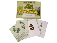 Гербарий "Деревья и кустарники" (22 вида, с иллюстрациями) - fgospostavki.ru - Шумерля