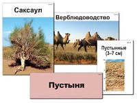 Модель-аппликация "Природные зоны России" (ламинированная) - fgospostavki.ru - Шумерля