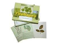 Гербарий "Дикорастущие растения" (30 видов, с иллюстрациями) - fgospostavki.ru - Шумерля