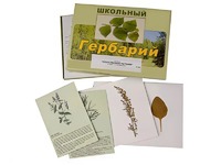 Гербарий "Лекарственные растения" (22 вида с иллюстрациями) - fgospostavki.ru - Шумерля