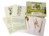 Гербарий "Систематика растений. Семейство Бобовые. Злаки" (раздаточный) - fgospostavki.ru - Шумерля