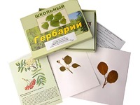 Гербарий "Систематика растений. Семейство Розоцветные" (раздаточный) - fgospostavki.ru - Шумерля