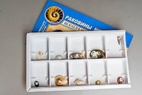 Коллекция "Раковины моллюсков" - fgospostavki.ru - Шумерля