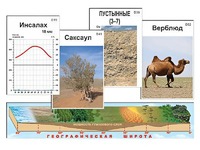 Модель-аппликация "Природные зоны" - fgospostavki.ru - Шумерля