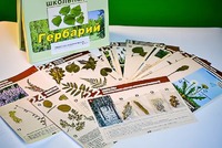 Гербарий к курсу основ общей биологии - fgospostavki.ru - Шумерля