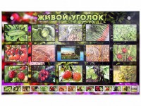 Комплект оборудования "Живой уголок" (растения) с тифлопереводом и сурдокомментариями - fgospostavki.ru - Шумерля