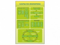 Стенды "Схемы по экономике" - fgospostavki.ru - Шумерля