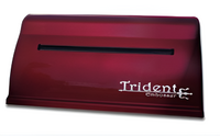 Принтер для печати рельефно-точечным шрифтом Брайля Trident - fgospostavki.ru - Шумерля