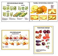 Плакаты ПРОФТЕХ "Ассортимент овощных культур" (12 пл, винил, 70х100) - fgospostavki.ru - Шумерля