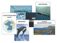 Модель-аппликация "Океаны. Знакомство" (ламинированная) - fgospostavki.ru - Шумерля
