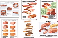 Плакаты ПРОФТЕХ "Ассортимент колбасной и мясной продукции" (11 пл, винил, 70х100) - fgospostavki.ru - Шумерля