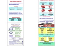 Плакаты ПРОФТЕХ "Классификации и виды мяса" (4 пл, винил, 70х100) - fgospostavki.ru - Шумерля
