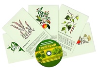 Интерактивный наглядный комплекс "Гербарий "Для начальной школы" - fgospostavki.ru - Шумерля