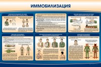 Стенд "Иммобилизация" - fgospostavki.ru - Шумерля
