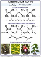 Комплект демонстрационных таблиц по химии "Полимеры" (комплект 12 таблиц) - fgospostavki.ru - Шумерля
