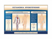 Электрифицированный стенд-тренажер "Остановка кровотечения" - fgospostavki.ru - Шумерля