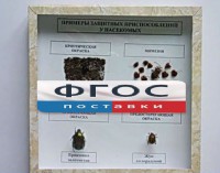 Коллекция энтомологическая "Примеры защитных приспособлений у насекомых" - fgospostavki.ru - Шумерля