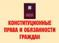 Комплект плакатов "Конституционные права и обязанности граждан" - fgospostavki.ru - Шумерля